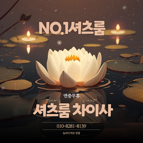 구디셔츠룸가격